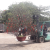 Vận chuyển cây cảnh