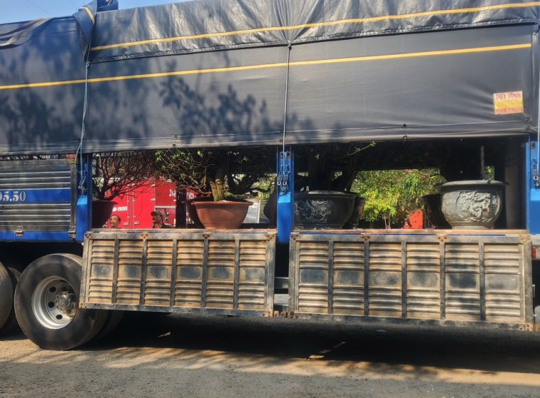 Transporting Ornamental Plants