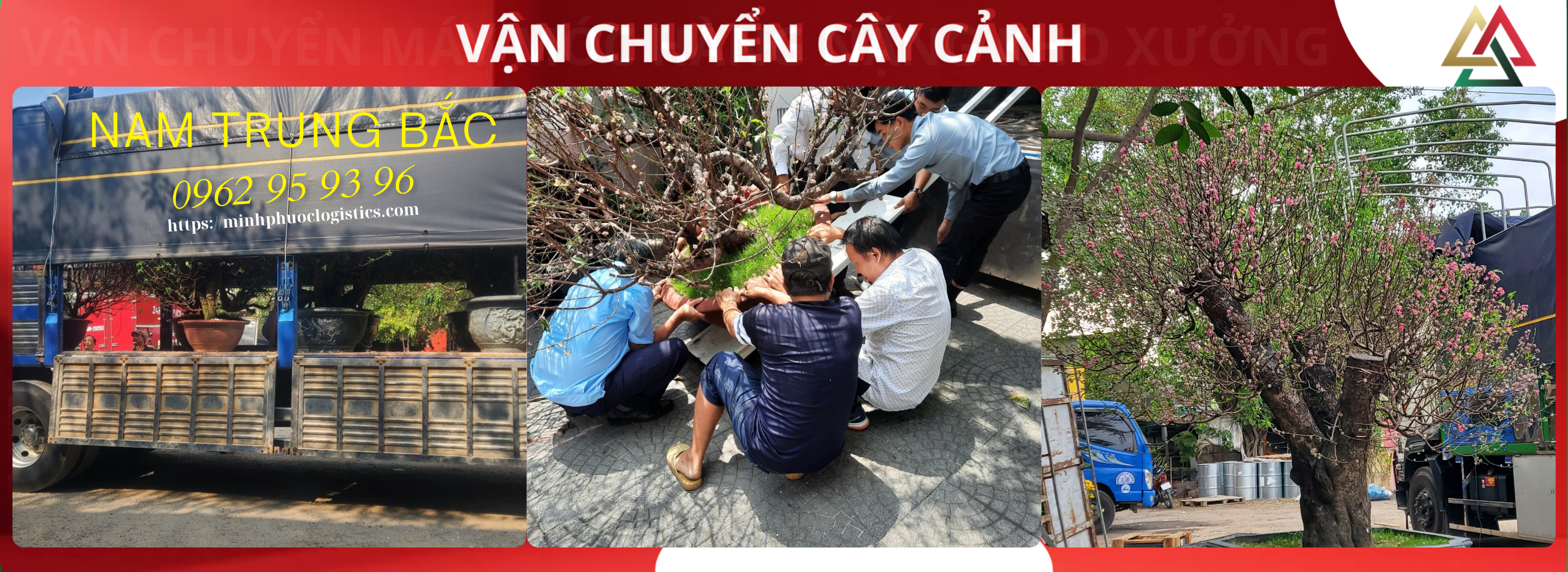 VẬN CHUYỂN CÂY CẢNH